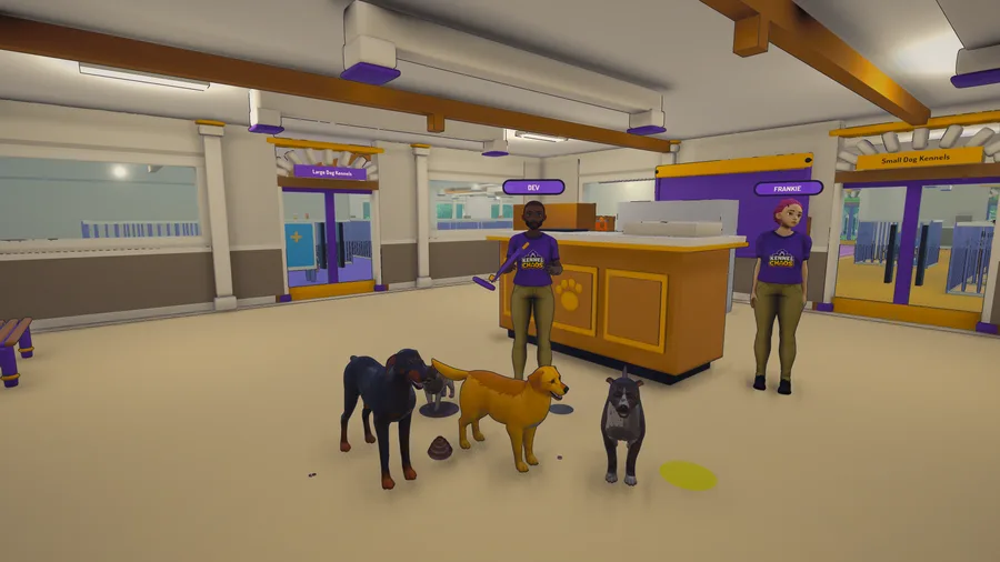 The Kennel Chaos reception desk at check-in, with three dogs waiting and two staff behind the counter