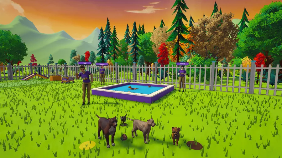 The outdoor Kennel Chaos yard at sunset, with a paddling pool, agility ramps and dogs on the grass