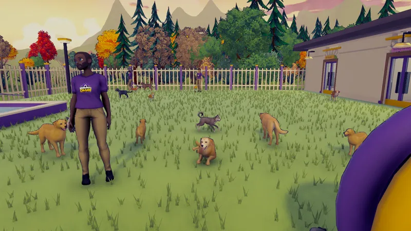 An employee stands in the yard surrounded by golden retrievers.